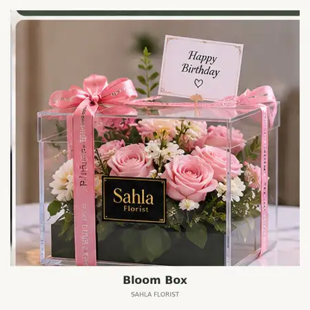 Bloom Box Ogan Komering Ulutimur